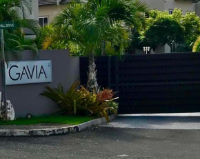 Gavia
